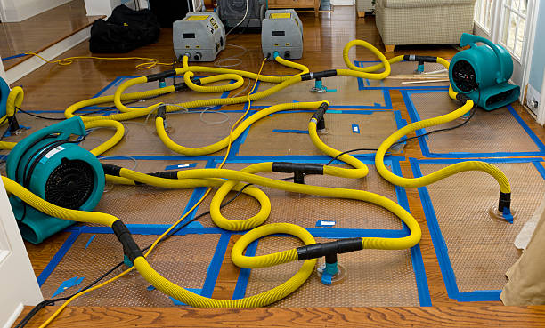 Professional Water Extraction technician working in Jackson Center, OH